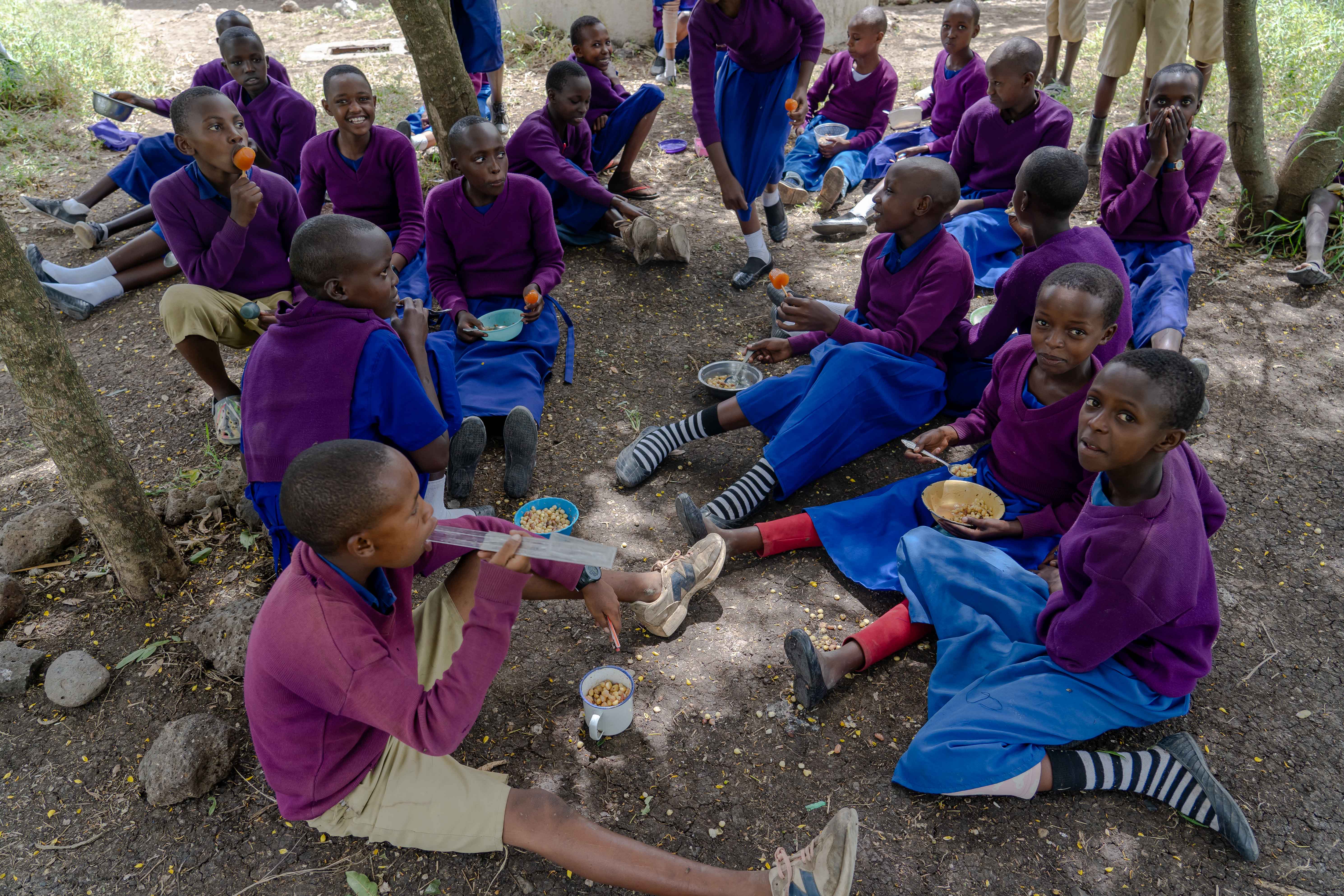 PWDT gallery photo 12